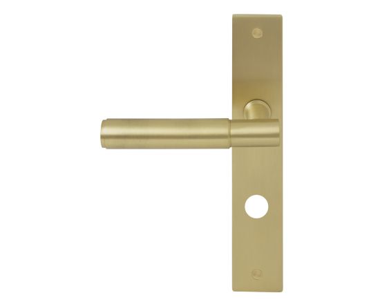 Linear Lever on Privacy Turn Plate Set - MSB