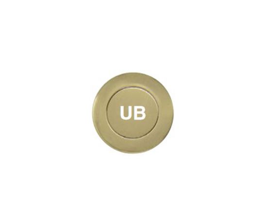 Milford 600mm Solid Brass Entrance Handle - UB