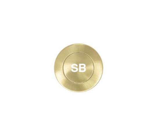 Milford 600mm Solid Brass Entrance Handle - SB