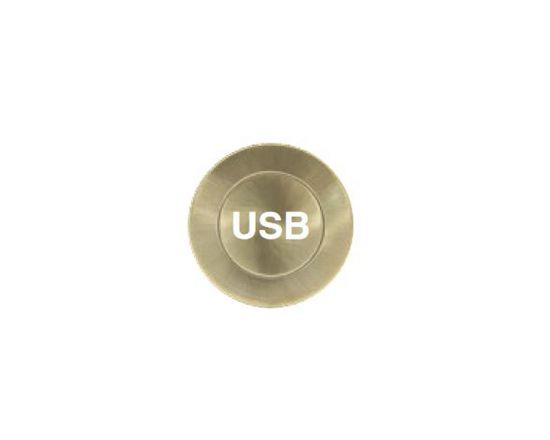 Milford 600mm Solid Brass Entrance Handle - USB