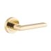 Baltimore single lever on rose - Polished Brass
