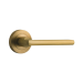 Baltimore single lever on rose - Polished Brass