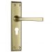 Menton lever on Euro 48 plate set - Polished Brass