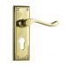 Camden lever on Euro 48 plate set - Polished Brass