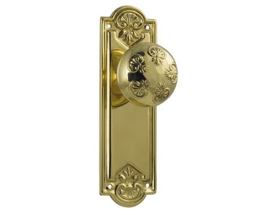 Nouveau knob on blank plate set - Polished Brass