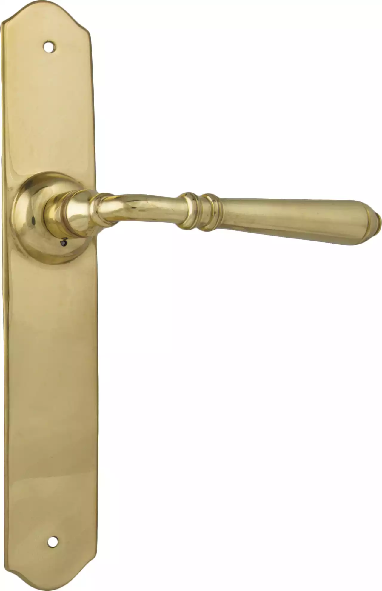 Reims Lever - Long Backplate - Lever Pairs Reims Lever - Long Backplate - Lever Pairs