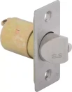 Orbit 60/70mm Adjustable Backset Deadlatch - SS