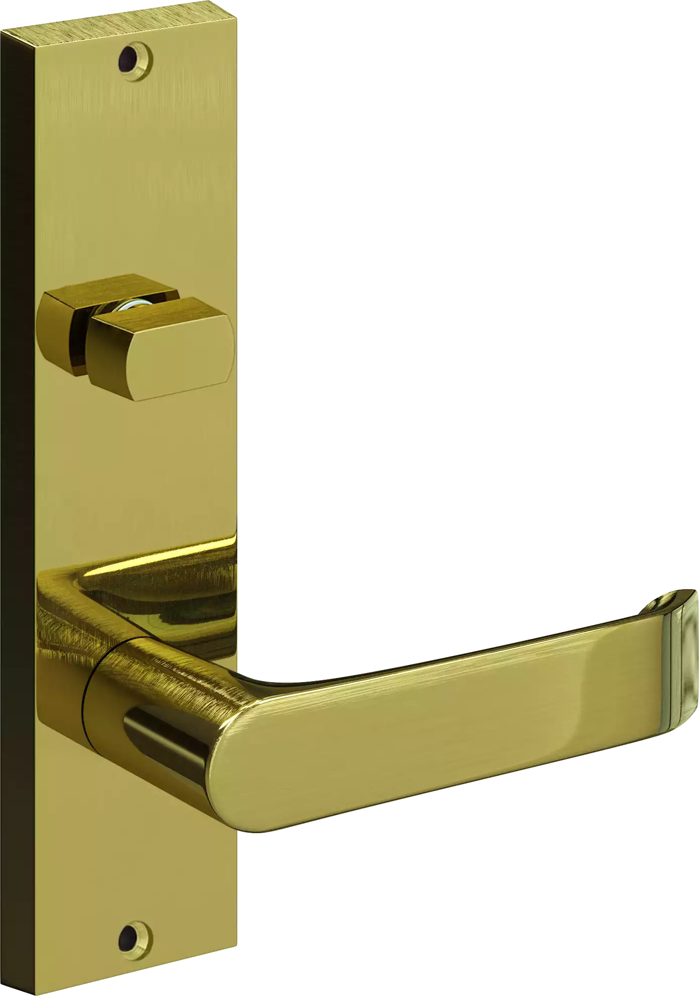 714 - #12 Leo - Int Lev + Turn Knob - PB