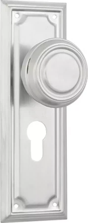 Edwardian 185 x 60mm Knob on Euro48 Plate Set - SC