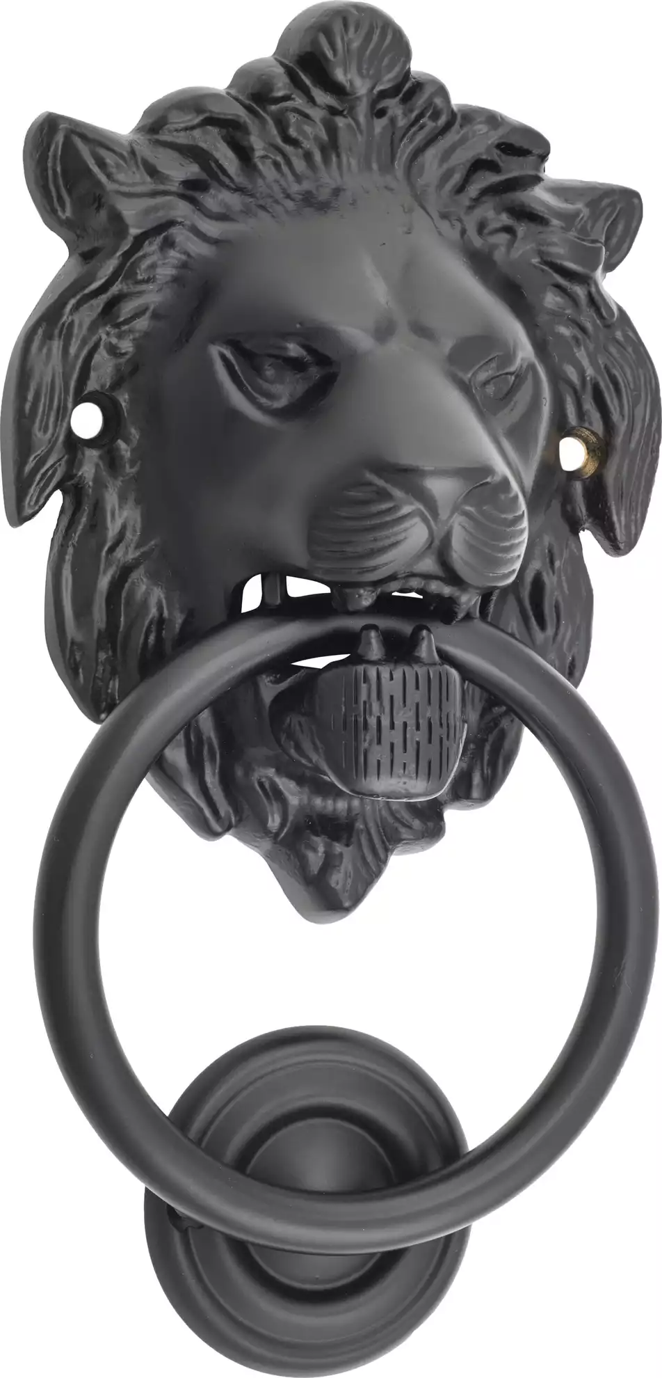 Lion Door Knocker Lion Door Knocker
