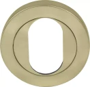 Oval Escutcheon - 50mm Rose - USB