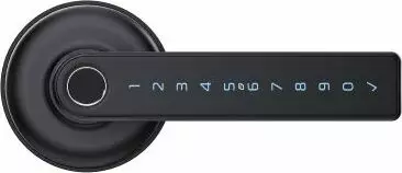 Ascent Smart Lever - BLK