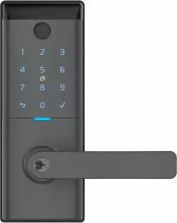 Ascent Smart Entrance Lever - Graphite