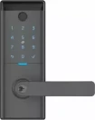Ascent Smart Entrance Lever - Graphite