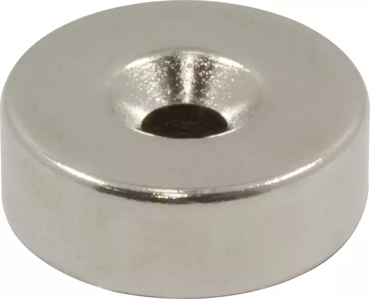 Door Magnets - 22 x 8mm