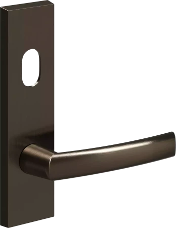 702 - Cisa - Ext Lev + Cyl Hole - ABZ