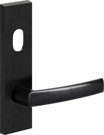 702 - Cisa - Ext Lev + Cyl Hole - SBC