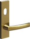702 - Cisa - Ext Lev + Cyl Hole - SBU