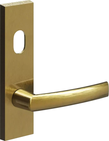 702 - Cisa - Ext Lev + Cyl Hole - SBU