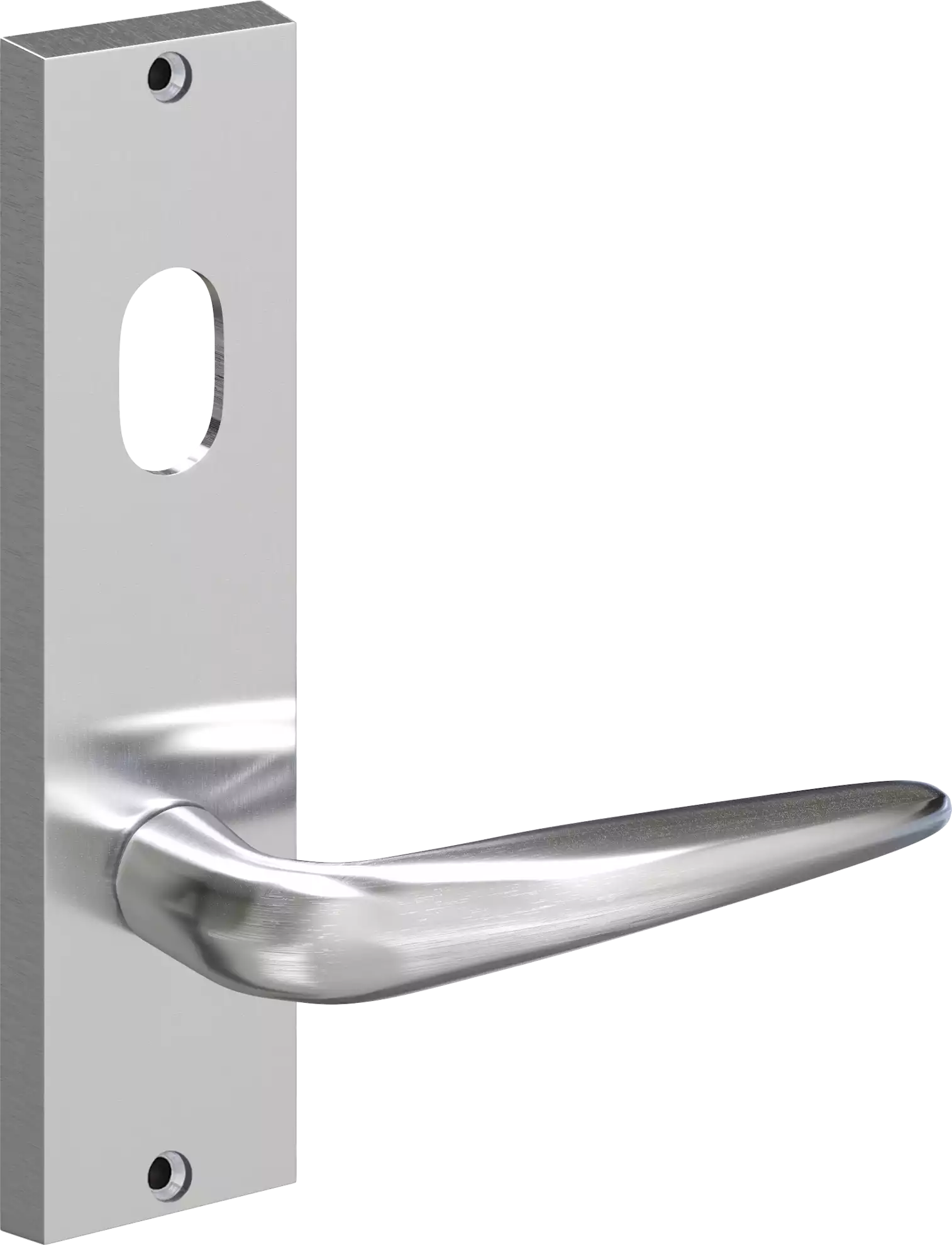 711 #50 MON INT CYL PLT SCP