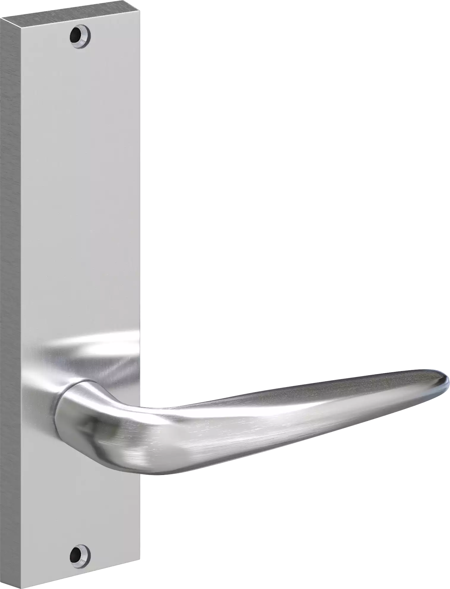 712 #50 MON INT PLN PLT SCP