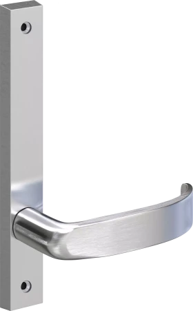 5306 - Neptune - Int Lever Only - SC