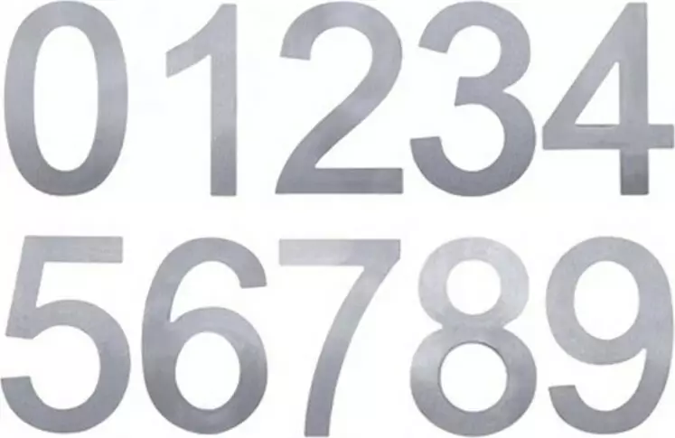 100mm Stainless Steel Rear Fix Numerals - BLK/SS