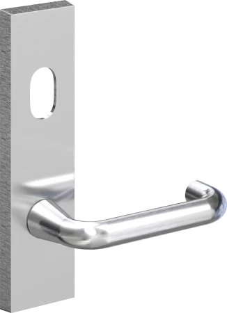 702 Alpha External Plate w/ Cylinder Hole - SC